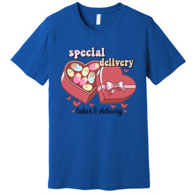 Special Delivery Funny L And D Nurse Happy Valentines Day Gift Premium T-Shirt