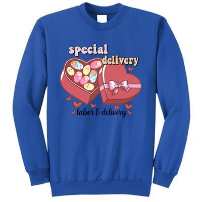 Special Delivery Funny L And D Nurse Happy Valentines Day Gift Tall Sweatshirt