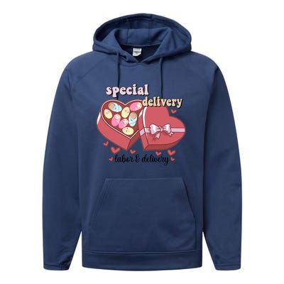 Special Delivery Funny L And D Nurse Happy Valentines Day Gift Performance Fleece Hoodie