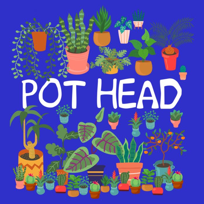 Succulent Design For Pot Head Gardeners Plant Lovers Funny Gift 16 in Basic Backpack