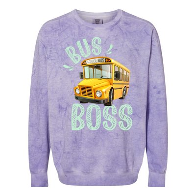 Student Delivery Funny Bus Boss School Bus Driver Colorblast Crewneck Sweatshirt