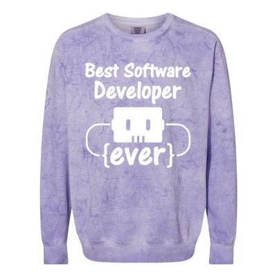 Software Developer For Coder And Software Engineer Gift Colorblast Crewneck Sweatshirt