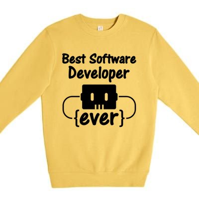 Software Developer For Coder And Software Engineer Gift Premium Crewneck Sweatshirt