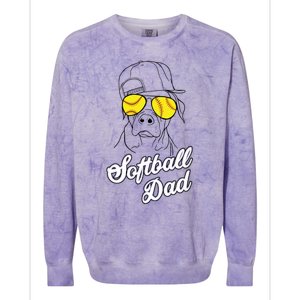 Softball Dad Father Coach Design Gift Colorblast Crewneck Sweatshirt