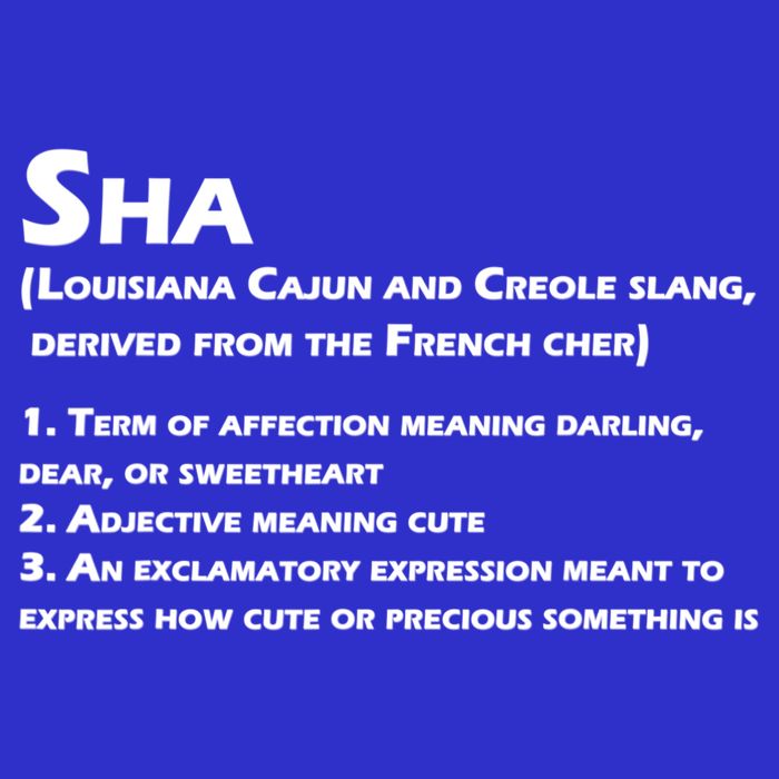Sha Definition Funny Louisiana Cajun Creole Gift 16 in Basic Backpack
