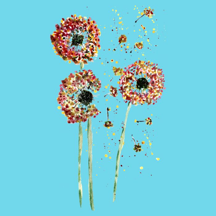 Spring Dandelion Floral Art Magnet