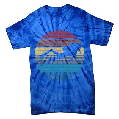 Scuba Diving Great Gift Vintage Retro Ocean Scuba Diver Gift Cute Gift Tie-Dye T-Shirt