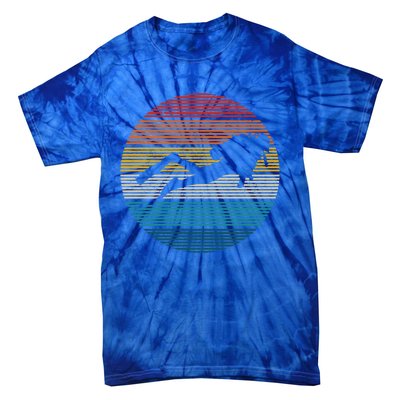 Scuba Diving Great Gift Vintage Retro Ocean Scuba Diver Gift Cute Gift Tie-Dye T-Shirt