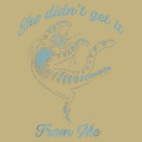 She Didnt Get It From Me Cat FUNNY CUTE Get It From Me Cat T-Shirt