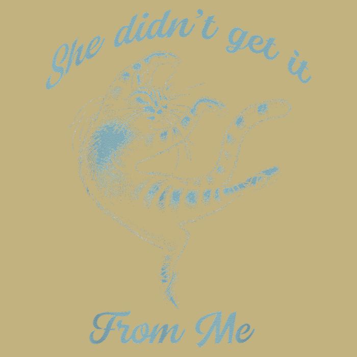 She Didnt Get It From Me Cat FUNNY CUTE Get It From Me Cat T-Shirt