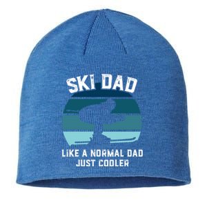 Ski Dad Gift Funny Skiing Like A Normal Dad Cooler Gift Sustainable Beanie