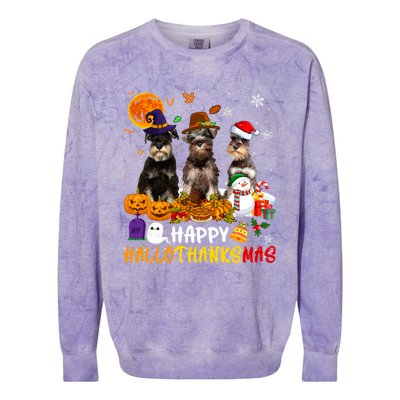 Schnauzer Dog Happy Hallothanksmas Xmas Dog Lover Gift Colorblast Crewneck Sweatshirt