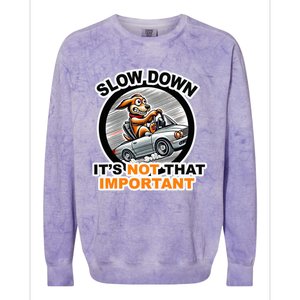 Slow Down ItS Not That Important Colorblast Crewneck Sweatshirt