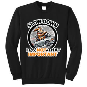 Slow Down ItS Not That Important Sweatshirt