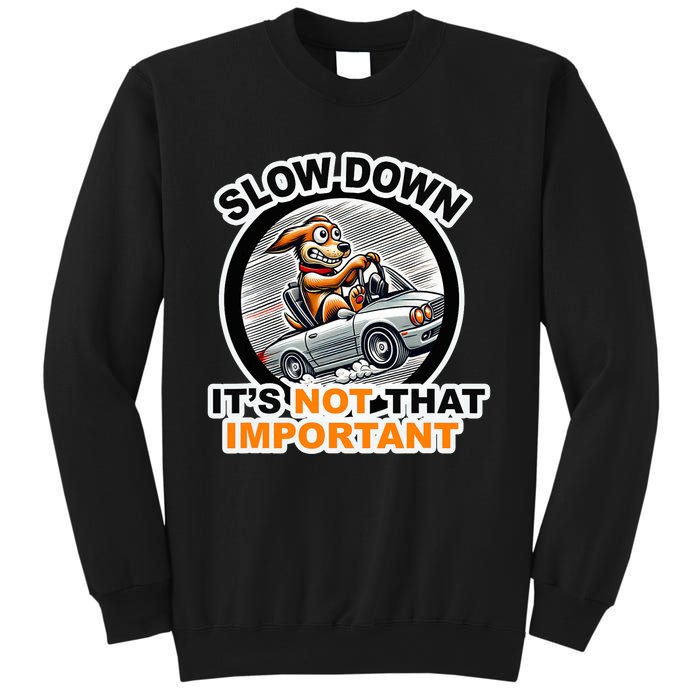 Slow Down ItS Not That Important Sweatshirt