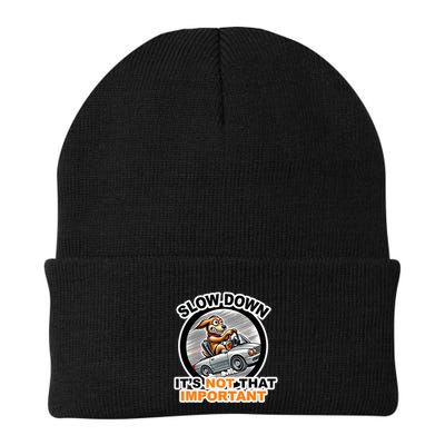 Slow Down ItS Not That Important Knit Cap Winter Beanie