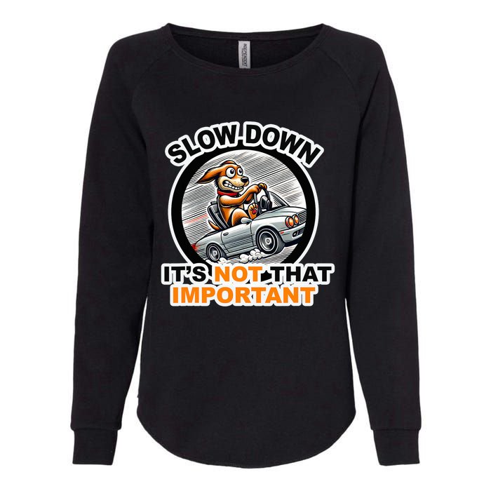 Slow Down ItS Not That Important Womens California Wash Sweatshirt