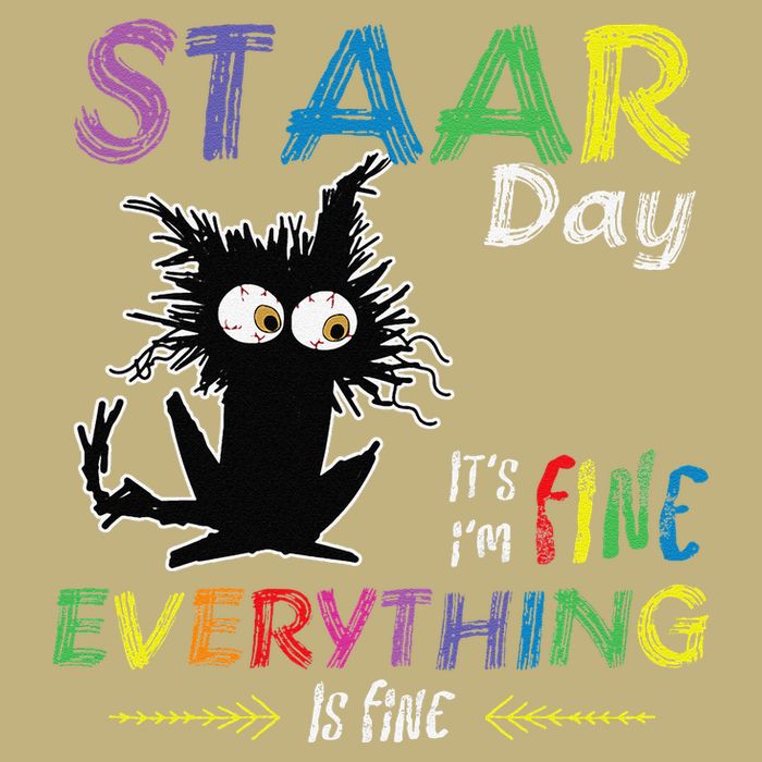 Staar Day ItS Fine Everything Is Fine Funny Cat Testing Day Button