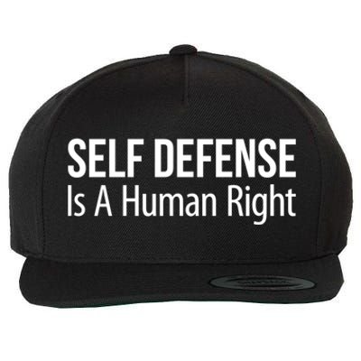 Self Defense Is A Hu Right Funny Gift Wool Snapback Cap