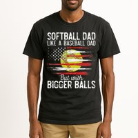 Softball Dad Like A Baseball Dad Definition Tall T-Shirt