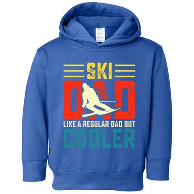 Ski Dad Like A Regular Dad But Cooler Funny Quote Gift Toddler Hoodie