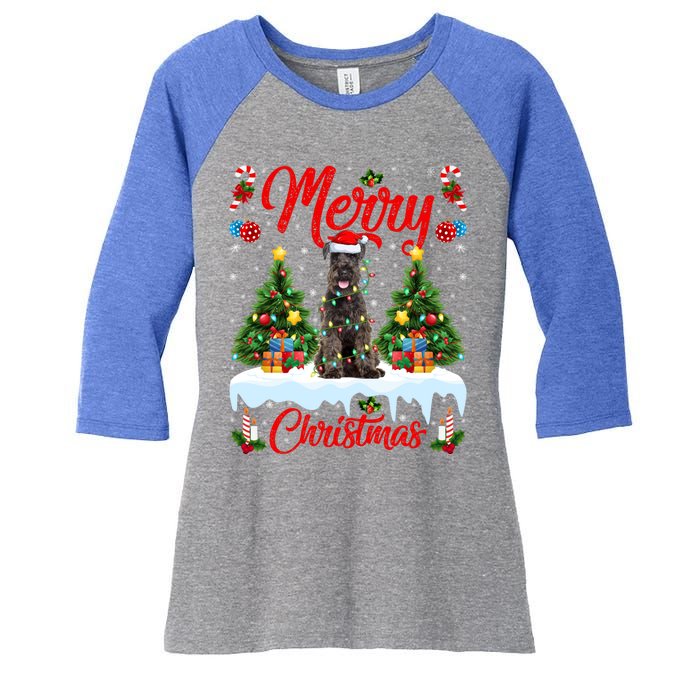 Schnauzer Dog Lights Xmas Tree Santa Schnauzer Christmas Gift Women's Tri-Blend 3/4-Sleeve Raglan Shirt