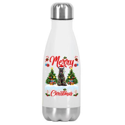 Schnauzer Dog Lights Xmas Tree Santa Schnauzer Christmas Gift Stainless Steel Insulated Water Bottle