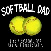 Softball Dad Like A Baseball Dad But With Bigger Balls Funny Wool Snapback Cap