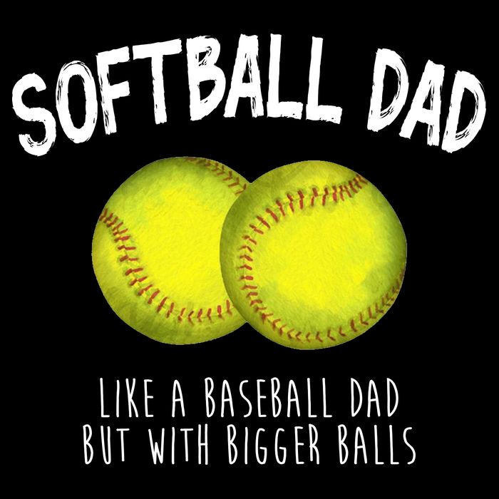 Softball Dad Like A Baseball Dad But With Bigger Balls Funny Wool Snapback Cap