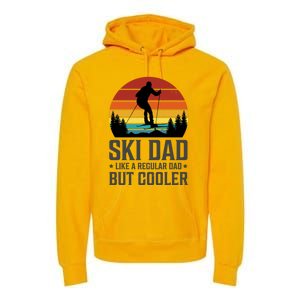 Ski Dad Like A Regular Dad But Cooler Great Fathers Day Funny Gift Premium Hoodie