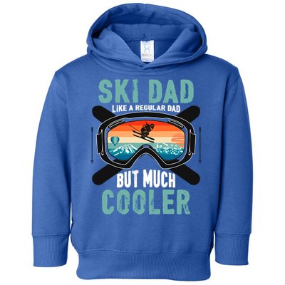Ski Dad Like A Regular Dad But Cooler Vintage Skier Gift Toddler Hoodie