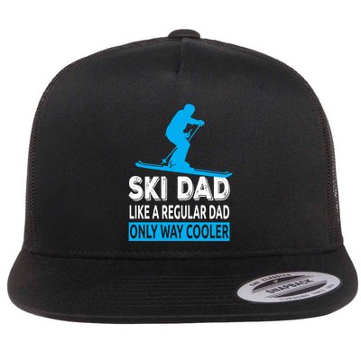 Ski Dad Like A Regular Dad Only Way Cooler Skiing Cute Gift Flatbill Hat
