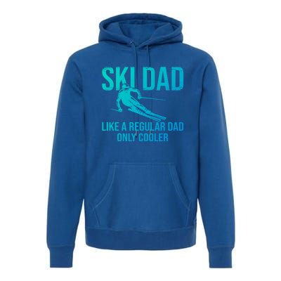 Ski Dad Like A Regular Dad Only Cooler Happy Father Day Funny Gift Premium Hoodie