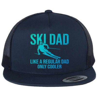 Ski Dad Like A Regular Dad Only Cooler Happy Father Day Funny Gift Flat Bill Trucker Hat