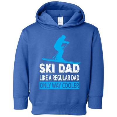 Ski Dad Like A Regular Dad Only Way Cooler Skiing Gift Toddler Hoodie