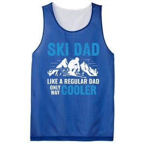 Ski Dad Like A Regular Dad Only Way Cooler Freestyle Skier Gift Mesh Reversible Basketball Jersey Tank