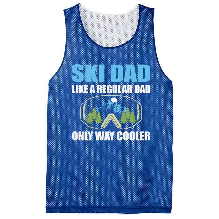 Ski Dad Like A Regular Dad Only Way Cooler Gift Mesh Reversible Basketball Jersey Tank