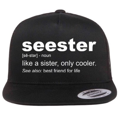 Seester Definition Like A Sister Only Cooler Flat Bill Trucker Hat