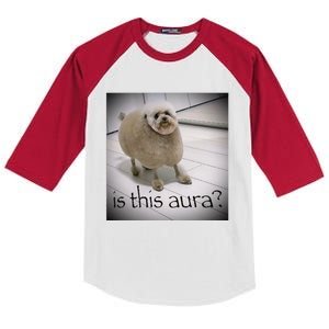 Silly Dog Meme Meme Brainrot Gen Z Funny Haircut Dog Meme Kids Colorblock Raglan Jersey