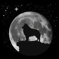 Schipperke Dog Moon Women's Crop Top Tee