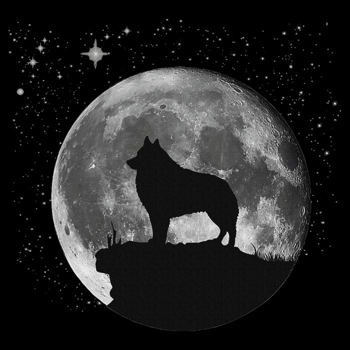 Schipperke Dog Moon Cropped Pullover Crew