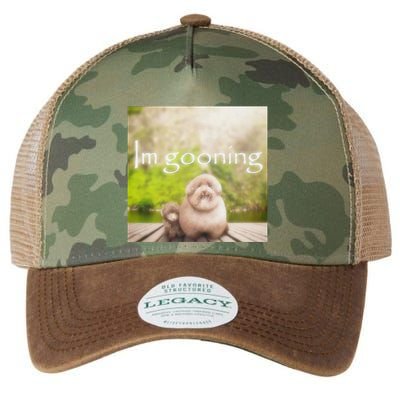 Silly Dog Meme Meme Brainrot Gen Z Funny Haircut Dog Meme Legacy Tie Dye Trucker Hat