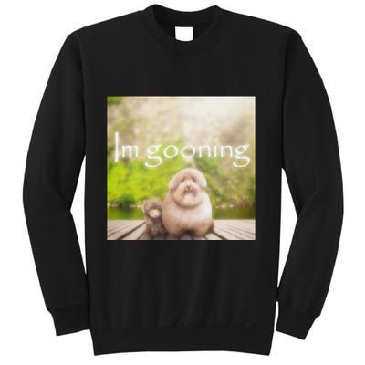 Silly Dog Meme Meme Brainrot Gen Z Funny Haircut Dog Meme Sweatshirt