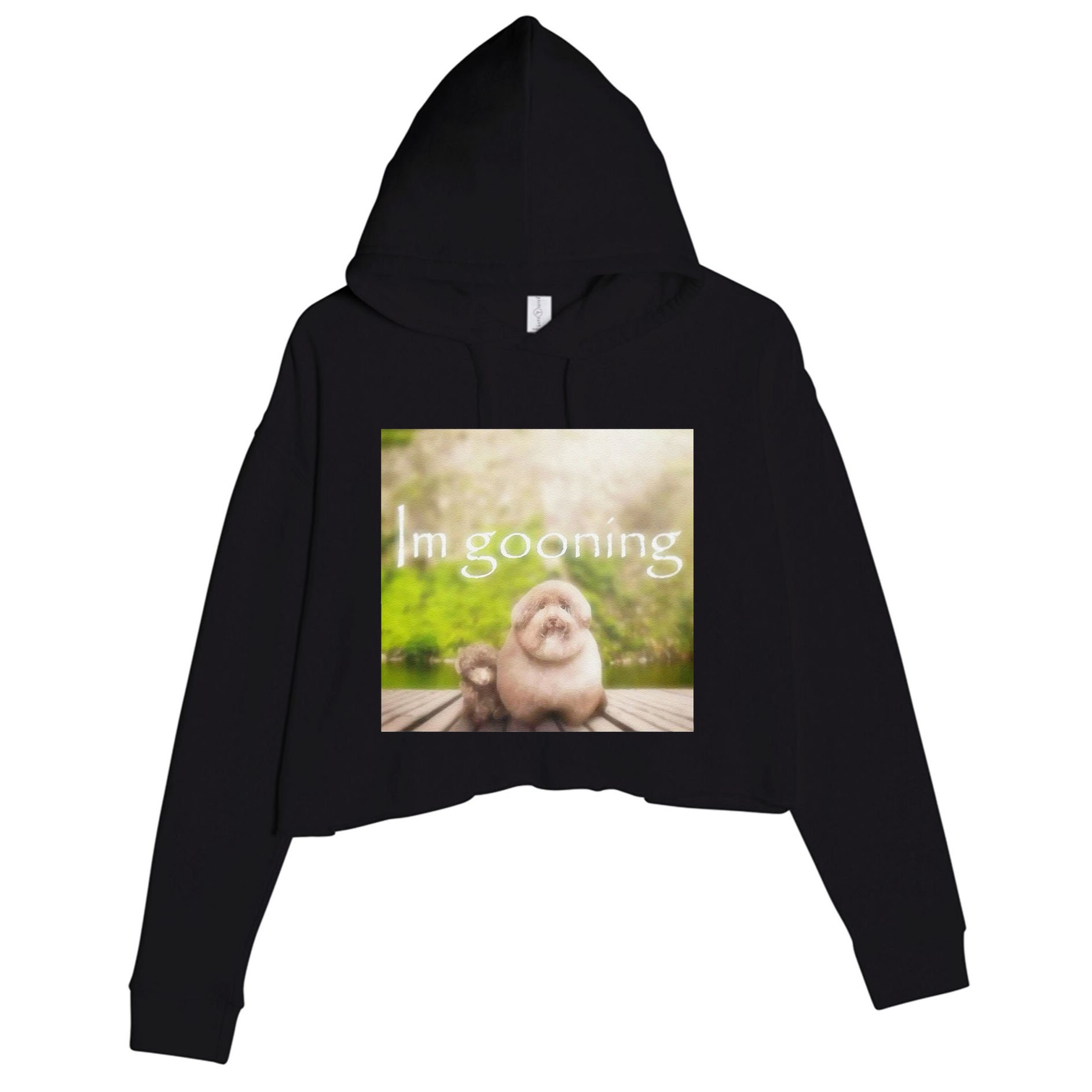 Silly Dog Meme Meme Brainrot Gen Z Funny Haircut Dog Meme Crop Fleece Hoodie