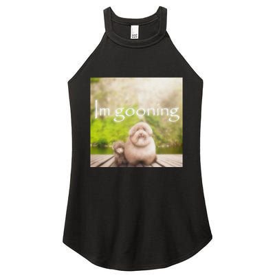 Silly Dog Meme Meme Brainrot Gen Z Funny Haircut Dog Meme Women's Perfect Tri Rocker Tank