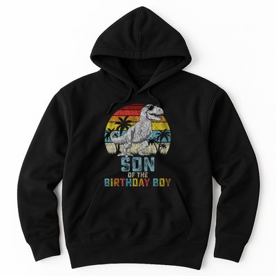 Son Dinosaur Of The Birthday Matching Family Hoodie