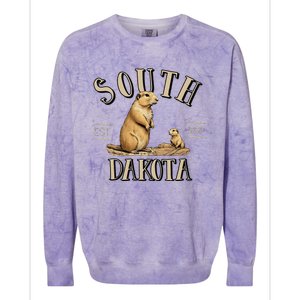 South Dakota Prairie Dogs Colorblast Crewneck Sweatshirt