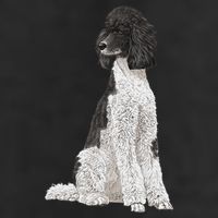 Sitting Dog Poodle 11oz C Handle Ceramic Mug
