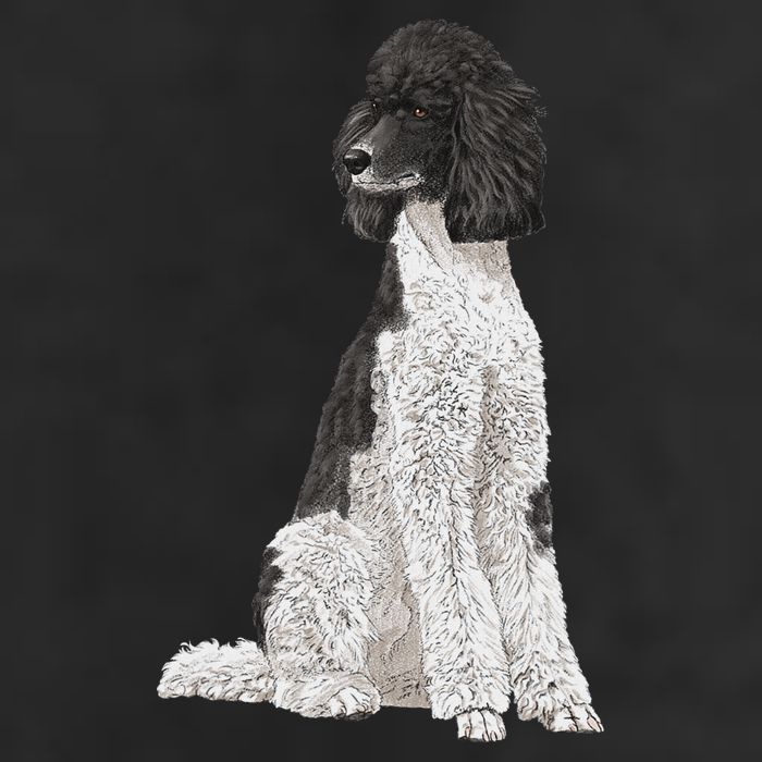 Sitting Dog Poodle 11oz C Handle Ceramic Mug