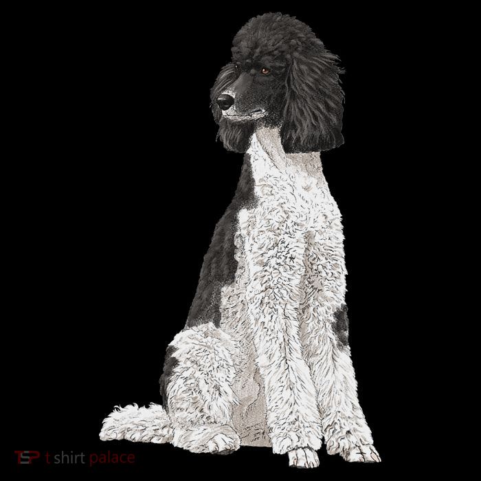 Sitting Dog Poodle 16 in Basic Backpack